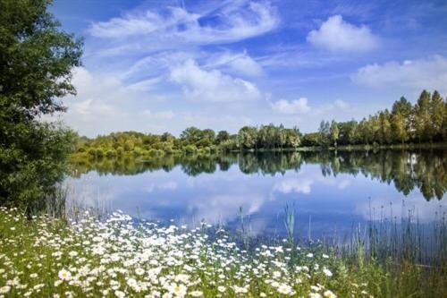 Lake Pochard Holiday Lodges Саут-Керні Екстер'єр фото